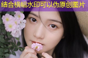 郊野公园建设与生态环境保护:上海案例 郊野公园建设与生态环境保护:上海案例